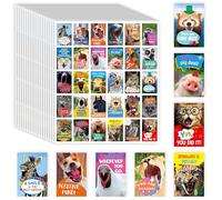 510 PCS Funny Incentive Stickers, 30 Designs Motivational Positive Stickers, Hilarious Animals Rectangular Reward Labels, Positive Encouragement Chart Decor for Kids, Teachers, Classroom, Office