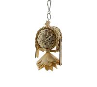 5103 Big Sola Bird Pk9 - Handmade Natural Wood Bird Foot Toys, Crafted from air Dried sola Wood, Superb Foraging Toys, Easy to chew Apart, Lightweight, Great for Medium and Large Size (Gold, 20x8cm)