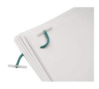 51mm Treasury Tags Plastic Ended Green 1' Inch (500)