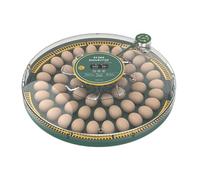 52 Eggs Incubator with Automatic Egg Turning with External Injection Water Bottle,Household Small Poultry Hatching Machine with Egg Candler Light for Chicken, Ducks, Pigeons,Bird (US Plug)