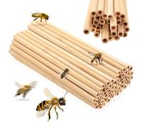 52 Pcs Mason Bee House TubesNatural Bamboo Tubes for Bee Nesting Tubess, Hollow Reed Nest Tubes Inserts Replacement Liners for BeesHotel House Box Beekeepers Solitary Bees(8 x 200mm)