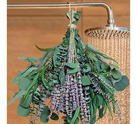 52 PCS Mix Dried Eucalyptus & Lavender Flowers Bundles for Shower, 17'' Natural Real Hanging Silver Dollar Eucalyptus Leaves Stems, Fragrance Fresh Plants
