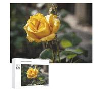 520 Piece Jigsaw Puzzles for Adults Cool Growing Yellow Rose Puzzles Large Puzzles Game Decompression Leisure Entertainment Wood Puzzle Relaxation Sensory Toys Room Decor for Women Men
