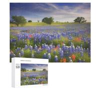 520 Piece Jigsaw Puzzles for Adults Cool Texas Bluebonnets Scenery Puzzles Large Puzzles Game Decompression Leisure Entertainment Wood Puzzle Relaxation Sensory Toys Room Decor for Women Men