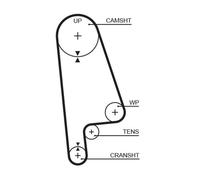 5233XS TIMING BELT GATES