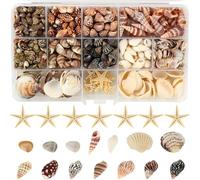 525+ Pcs Mini Shells, 12 Kinds Mixed Starfish Sea Shells for Crafting with Storage Box, 0.5-3cm Natural Seashells, DIY Shell Beads for Beach Theme Party, Wedding, Fish Tank Decorations
