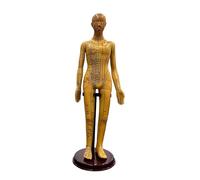 52CM Adult Human Body Acupuncture Model Chinese Medicine Man/Woman Meridians Models Teaching Medical Education Tool Home Decor(Female)