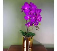 52cm Artificial Orchid Large - Purple / Gold Leaf Purple One Size