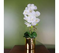 52cm Artificial Orchid Large - White / Gold Leaf White One Size
