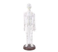 52cm Human Body Acupuncture Model, Full Body Pressure Point Meridians Mannequin, Chinese Teaching Human Acupoint for Student Teaching Education Demonstration (Women Type)