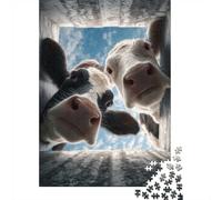 52x38cm/1000pcs 1000 Piece Jigsaw, Two Cows Looking Down
