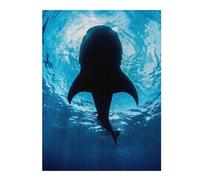 52x38cm/1000pcs Adult Pieces Jigsaw Puzzle Whale Shark Ocean Puzzles for Adults Toy Wall Decor Difficult Hard Challenging To Complete 52x38cm/1000pcs
