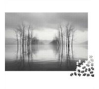 52x38cm/1000pcs, Jigsaw for Adults, 1000 Pieces, Black & White Landscape Photography