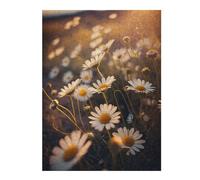 52x38cm/1000pcs Jigsaw Puzzle for Adults Daisy Field Puzzle for Adults Family Game Difficult Challenge Parent-child Interaction 52x38cm/1000pcs