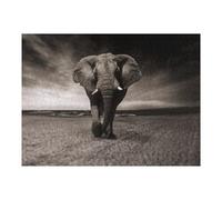 52x38cm/1000pcs Jigsaw Puzzle for Teenagerss Elephant on The Beach A Monochrome Masterpiece Puzzles for Adults Family Game For Family Fun Christmas Birthday Gifts 52x38cm/1000pcs