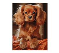 52x38cm/1000pcs Jigsaw Puzzle Ruby Cavalier King Charles Spaniel Adult Jigsaw Puzzle Relaxing Games Enhance Memory Unique Birthday And Xmas Gifts 52x38cm/1000pcs