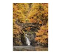 52x38cm/1000pcs Jigsaw Puzzles for Teenagerss Hermitage Dunkeld Teenagers Puzzles Relax Games Perfect Decoration Stress Reduction Gifts 52x38cm/1000pcs