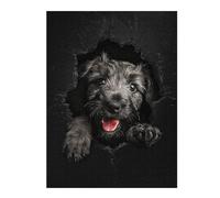 52x38cm/1000pcs Jigsaw Puzzles for Teenagerss Scottish Deerhound Puzzles for Adults Hands-on Game Difficult Challenge Help The Brain Exercise 52x38cm/1000pcs