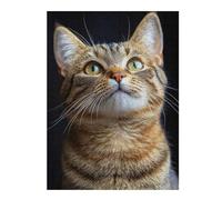 52x38cm/1000pcs Teenagers Pieces Jigsaw Puzzle Curious Tabby Cat Puzzles for Adults Hands-on Game Perfect Decoration Challenging To Complete 52x38cm/1000pcs