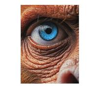 52x38cm/1000pcsPuzzle For Adults Blue Eyed Monkey Charm Puzzle for Adults DIY Toys Presents for Women Deal As Gifts for The Whole Family 52x38cm/1000pcs