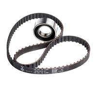 INA Timing Belt Kit 530000910 - Pulley, Tensioner & Idler - Fits Fiat/Lancia/Autobianchi