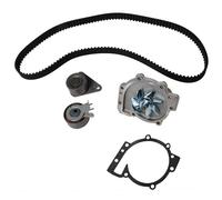 INA Water Pump & Timing Belt Kit 530 0063 30 - Fits Renault, Volvo