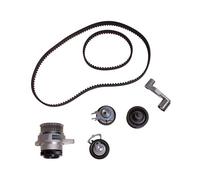 INA 530 0089 30 Water pump and timing belt kit