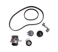 INA 530 0089 30 Water pump and timing belt kit
