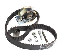 INA 530 0091 10 Timing belt kit