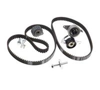 INA 530 0104 10 Timing belt kit