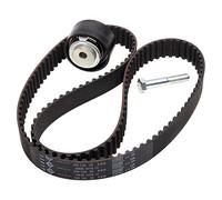 Timing belt kit 530 0144 10 INA for FORD LDV