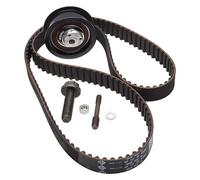 INA 530 0164 10 Timing belt kit