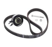 INA 530 0166 10 Timing belt kit