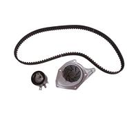Timing Belt Kit + Water Pump 530 0197 30 INA for RENAULT NISSAN SUZUKI
