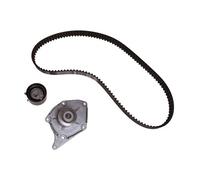 INA Timing Belt Kit + Water Pump 530 0197 31 for Renault Nissan Dacia 1.5D