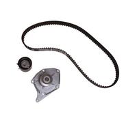 INA Timing Belt Kit + Water Pump 530 0197 31 for Renault Nissan Dacia 1.5D
