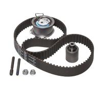 INA 530 0201 10 Timing Belt Kit, Black