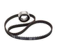 INA 530 0205 10 Timing belt kit