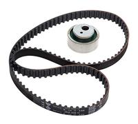 INA Timing Belt Kit 530 0258 10 - Tensioners & Belt - Fits Citroen Peugeot Fiat Lancia