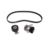 INA Timing Belt & Water Pump Kit 530 0334 30 - for Peugeot/Citroën 106 II, 206 SW