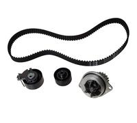 INA 530 0379 30 Water Pump Fits Citroën Peugeot 1007 2008 206 207 Cross Sw 208