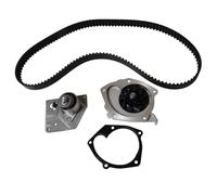 Timing Belt Kit + Water Pump 530 0442 30 INA for RENAULT NISSAN SUZUKI