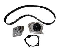 INA 530 0442 30 Water Pump Fits Nissan Renault Suzuki Grand Scénic Vitara Laguna