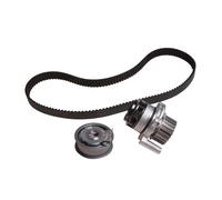 INA Timing Belt & Water Pump Kit fits SEAT TOLEDO 5P 2.0 BWA 05-09 Set New
