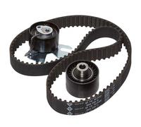 Timing Belt Kit fits PEUGEOT EXPERT VF3, VF3X 2.0D 2007 on Set INA 0816G3 0829A3
