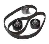 INA 530 0456 10 Timing belt kit