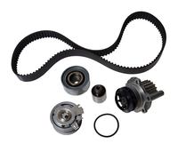 INA 530 0463 30 WATER PUMP & TIMING BELT KIT