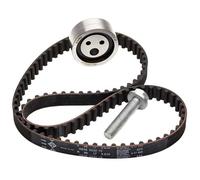 INA 530 0490 10 Timing belt kit