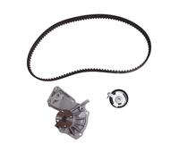 INA 530 0495 30 Water pump and timing belt kit