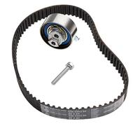 Ina Timing Belt Kit 530 0501 10 - Fits Audi A6 C6, A6 Avant, A6 Allroad, A5, Q5
